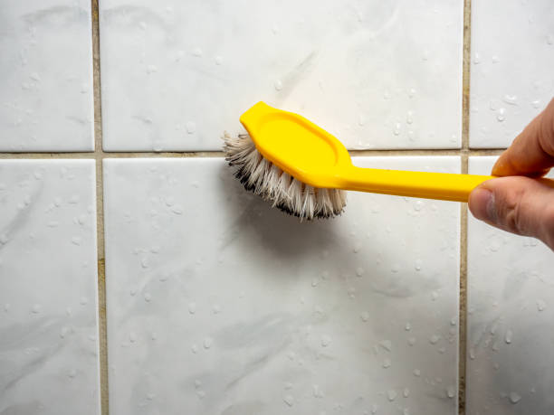 Best Professional Mold Removal  in Southlake, TX